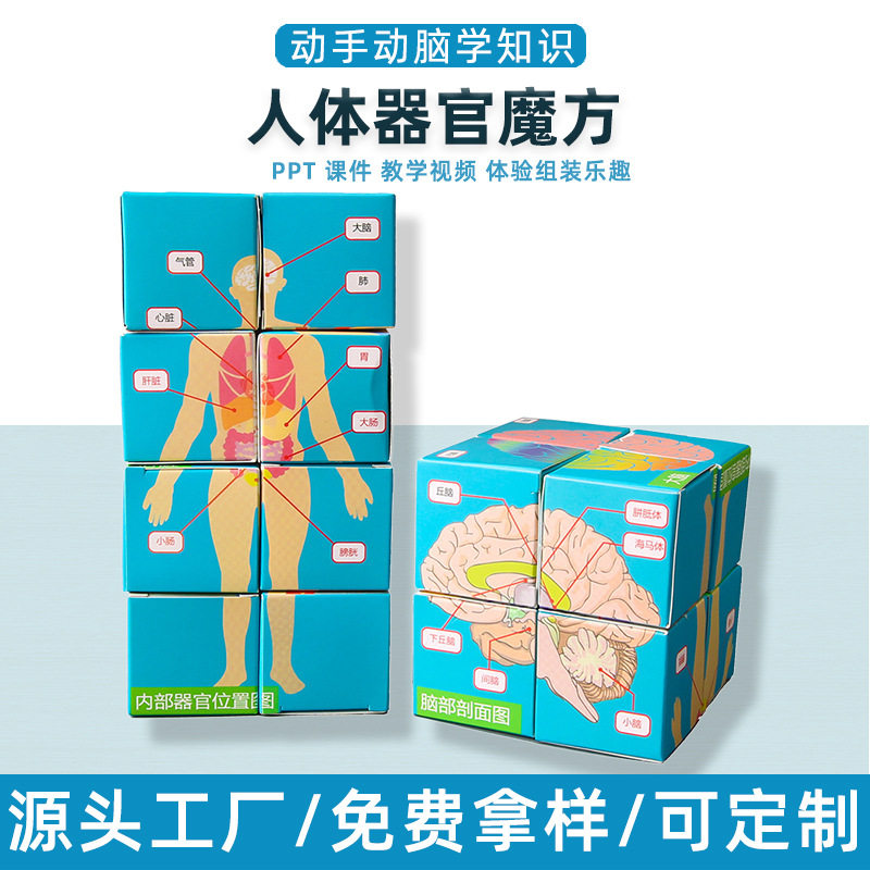 科学实验DIY认识人体器官魔方幼儿童手工学生科技小制作教具材料