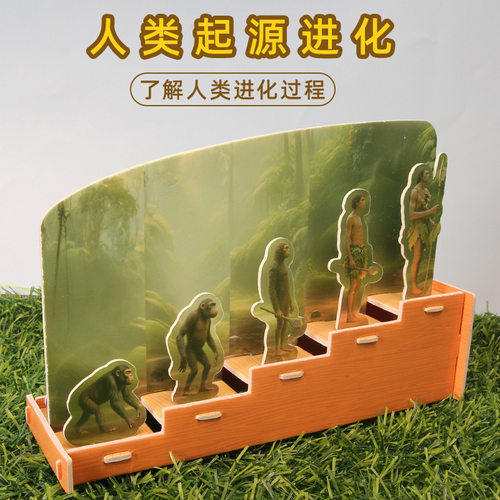 人类的进化幼儿园手工拼装小学生生物学习器材人类的起源小制作