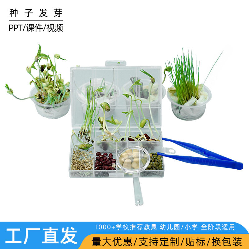 儿童科学实验玩具DIY手工种子发芽 科技小制作steam实验材料包