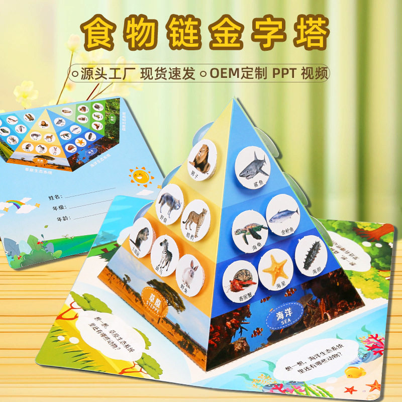 科学实验食物链金字塔diy科技小制作 儿童手工学生生物材料包套装