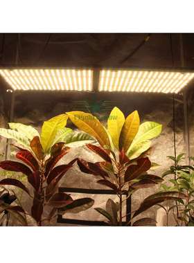 250W LM301H + 660nm uv ir Quantum LED Board 量子板植物灯