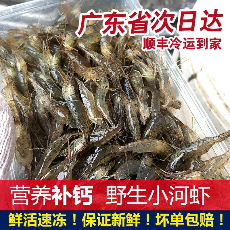 河虾鲜活新鲜冷冻海鲜水产潮汕狗仔虾仁青虾小土虾500g淡水小河虾