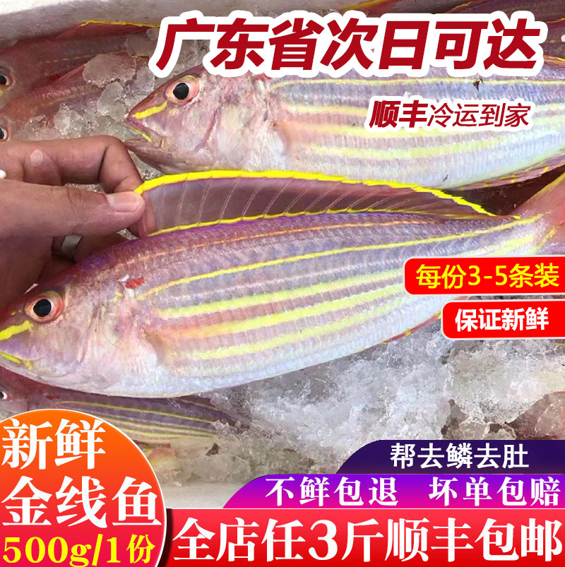 红杉鱼海鱼新鲜冷冻海鲜水产深海钓红三鱼金丝鱼金线鱼红衫鱼500g