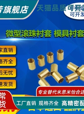 SSBPS BGS SSBGS 3 4 5 6 8 10 12 -10 15 20 30 40 微型滚珠衬套