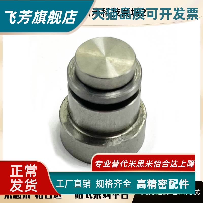 直线导轨定位销偏心销 LLT5 LLTS5 ICE11-T5不锈钢ICE12/11