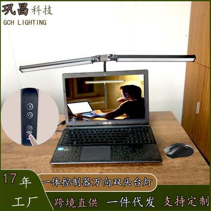 LED一体控制器双头万向台灯护眼床头工字夹桌面工作阅读学生台灯