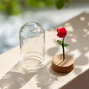 送 饰品 快速发货永生花创意网红ins迷z你小摆件 室内家居办公桌装