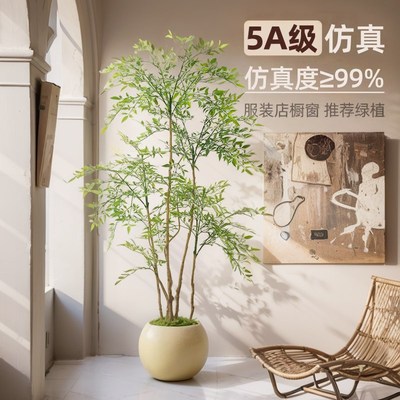 现货速发南天竹盆栽高级感室内客厅电视柜旁边装饰大型落地摆件假