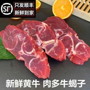 新鲜牛蝎子带肉牛脊骨正宗农家散养黄牛脊骨生牛肉2500g牛龙骨