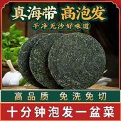 霞浦烘干压缩海带丝圆饼无沙免洗干货凉拌专用特厚级整箱批发商用