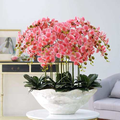 型蝴蝶兰花套装假花盆栽塑料花酒店大堂客厅玄关装赵之孙