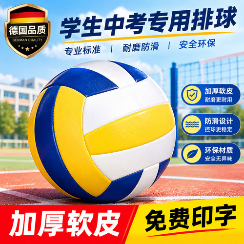 德国排球初中生中考专用高弹柔软不漏气不变形户外运动专业气排球