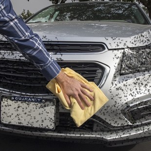 美光清洗泡沫虫胶柏油去除汽车漆面除胶剂虫尸鸟粪清洁剂G180515