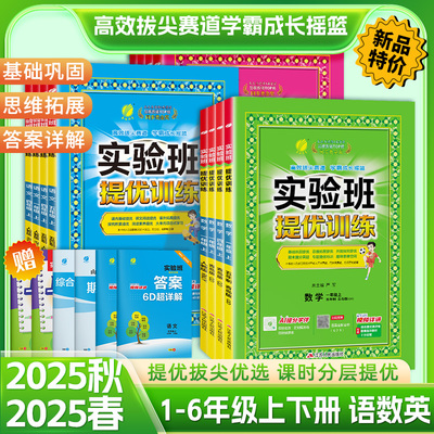 小学实验班提优训练语文数学英语