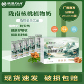 桃源100分核桃植物奶0蔗糖礼盒装 240ml 20罐陇南醇香核桃健康充能