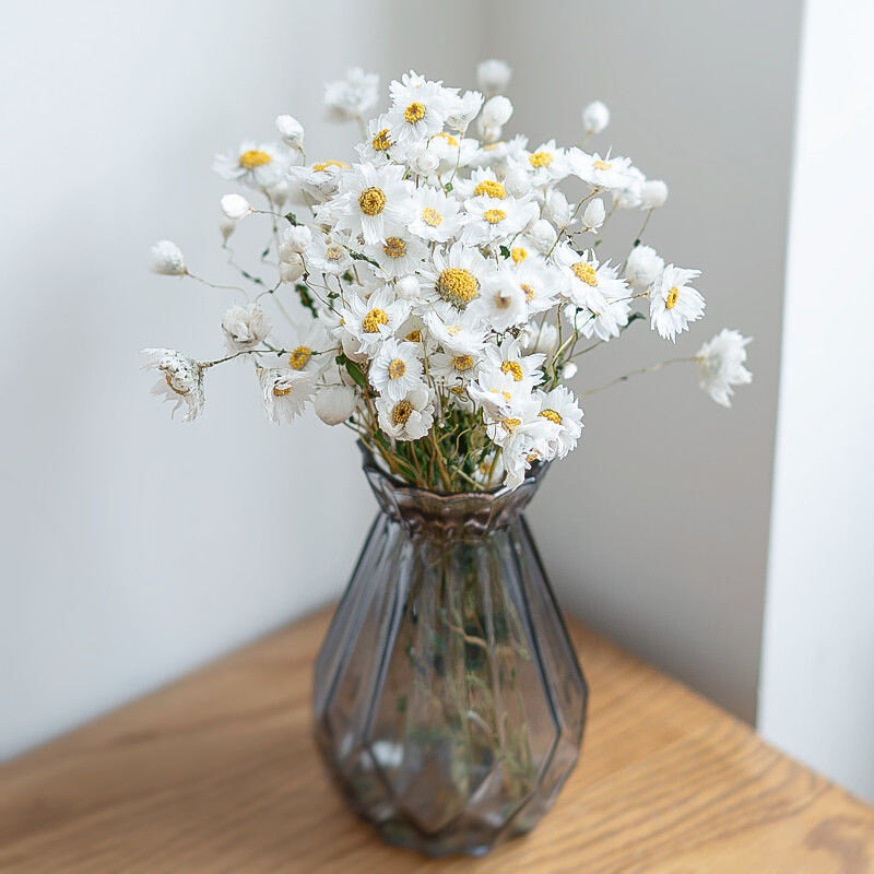 文艺小清新干花 素雅家居装饰摆件 天然风干罗丹斯小雏菊干花