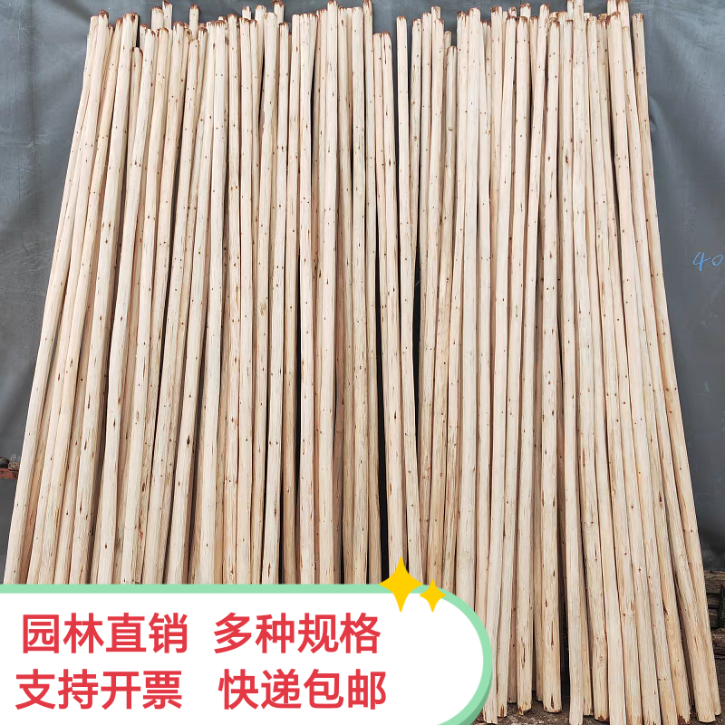 去皮杉木树干原木干木头干树枝露营地装饰婚庆木架围栏玄关隔断