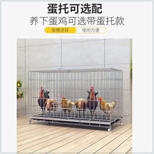 鸡下蛋的笼子养鸡笼大特大号自动清粪折叠养殖笼S鸡舍铁丝网鸭鹅