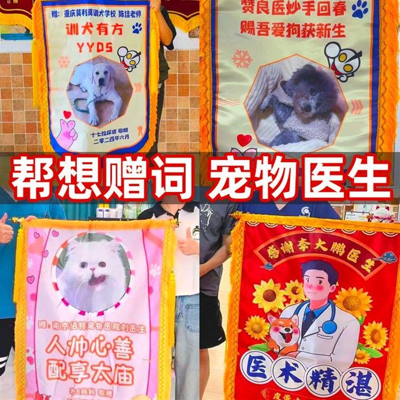 锦旗定制感谢宠物医生医院感谢赠送医护人员护士服务高档旌旗订做