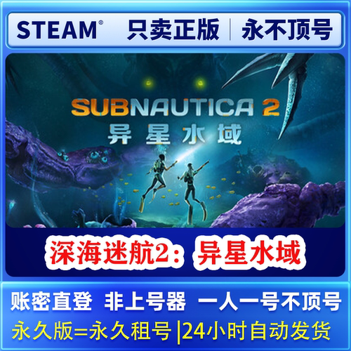 Steam正版可联机 深海迷航2：异星水域 租号  一人一号不顶号