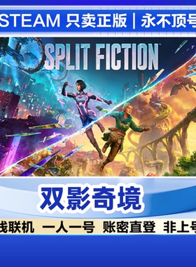 双影奇境 Steam正版租号 在线联机 防顶号 账密直登 一人一号