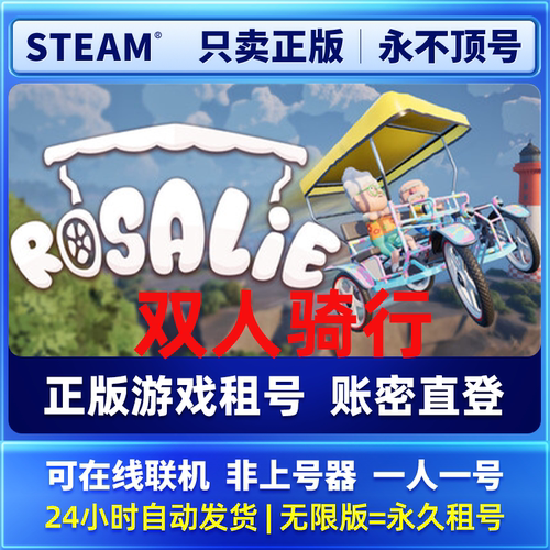 Steam正版 在线联机 双人骑行 租号  一人一号不顶号