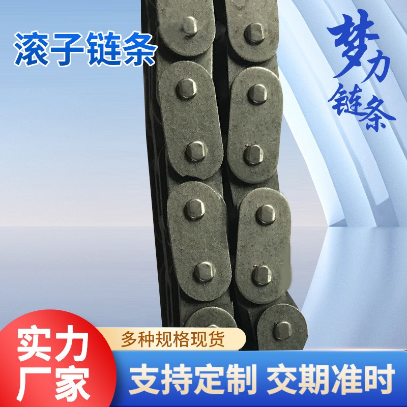 预定款RF50-2 C型10A双排直板型滚子链条  工业传动链条  链条