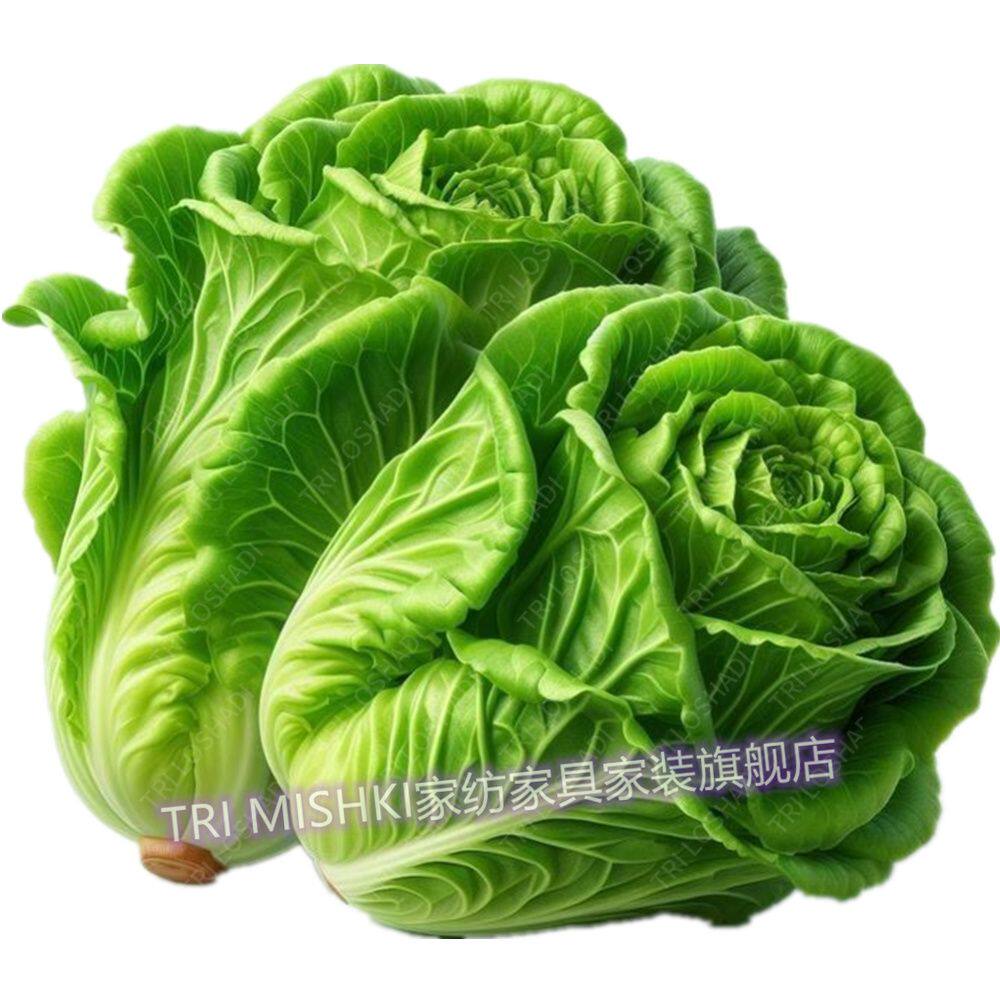高清白菜粘贴画蔬菜篮子厨房贴纸防水防油遮丑贴瓷砖裂缝遮盖