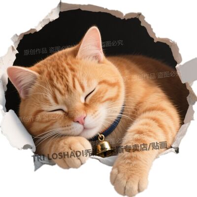 犯困的橘猫贴纸3d视觉自粘墙贴遮丑卧室自粘门贴可爱小猫防水贴画