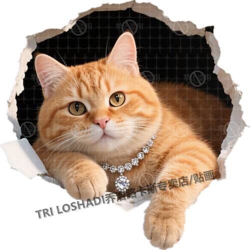网红爆款可爱橘猫贴纸出租屋卧室装饰贴画防水贴车动物图案贴花