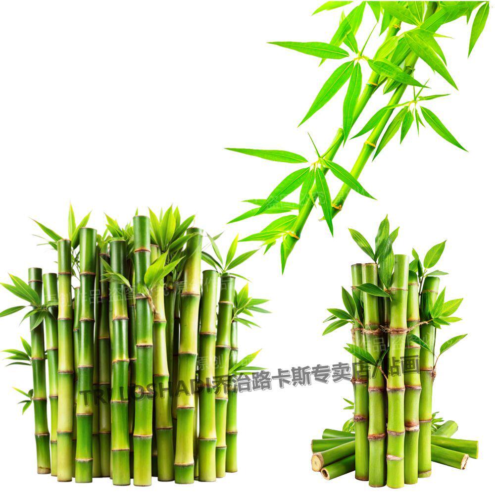 步步高升竹子贴纸画客厅玄关墙角粘贴爆款自粘门贴养眼绿植贴画
