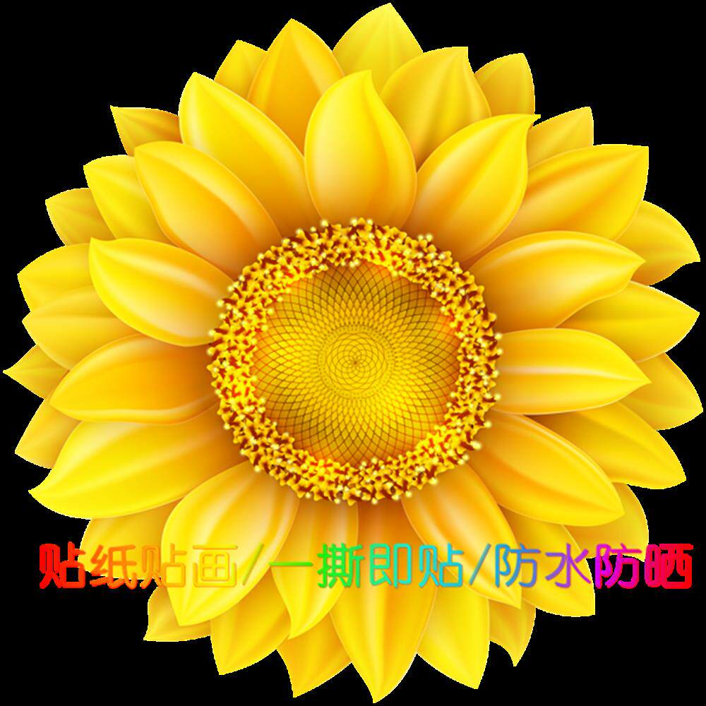 金色鲜花门贴向日葵太阳花贴纸冰箱贴圆形贴纸卧室床头墙贴自粘