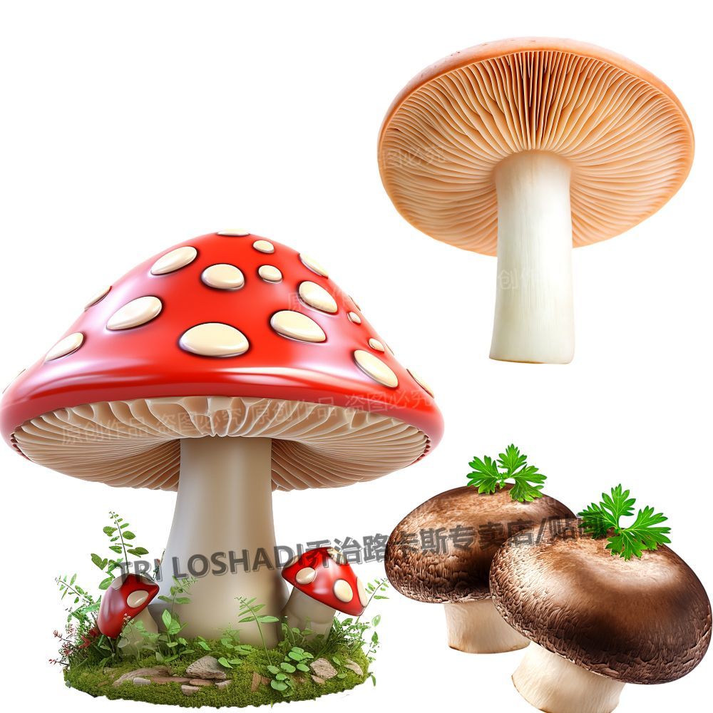 高清蔬菜蘑菇贴纸防油污厨房贴画瓷砖裂缝遮丑贴防水自粘墙贴装饰