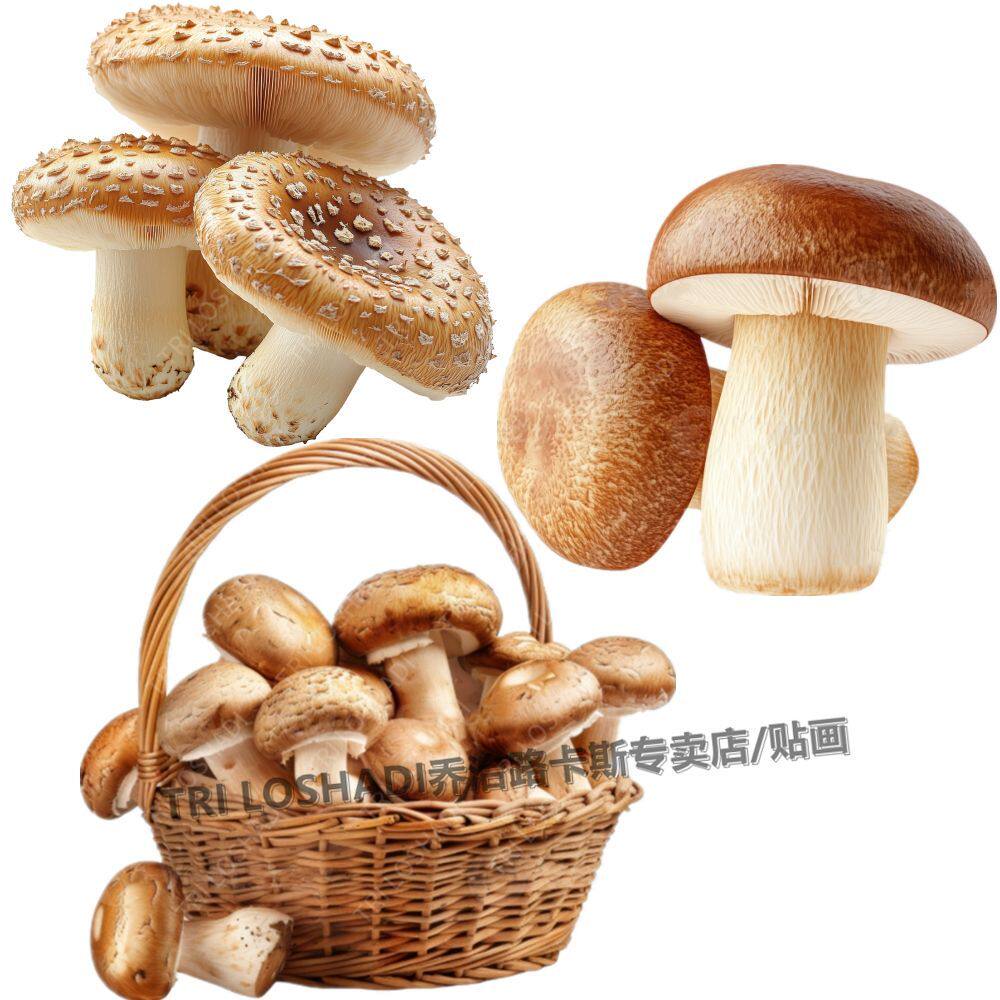 蔬菜蘑菇贴纸高清厨房贴画防油污瓷砖裂缝遮丑贴画防水自粘墙贴