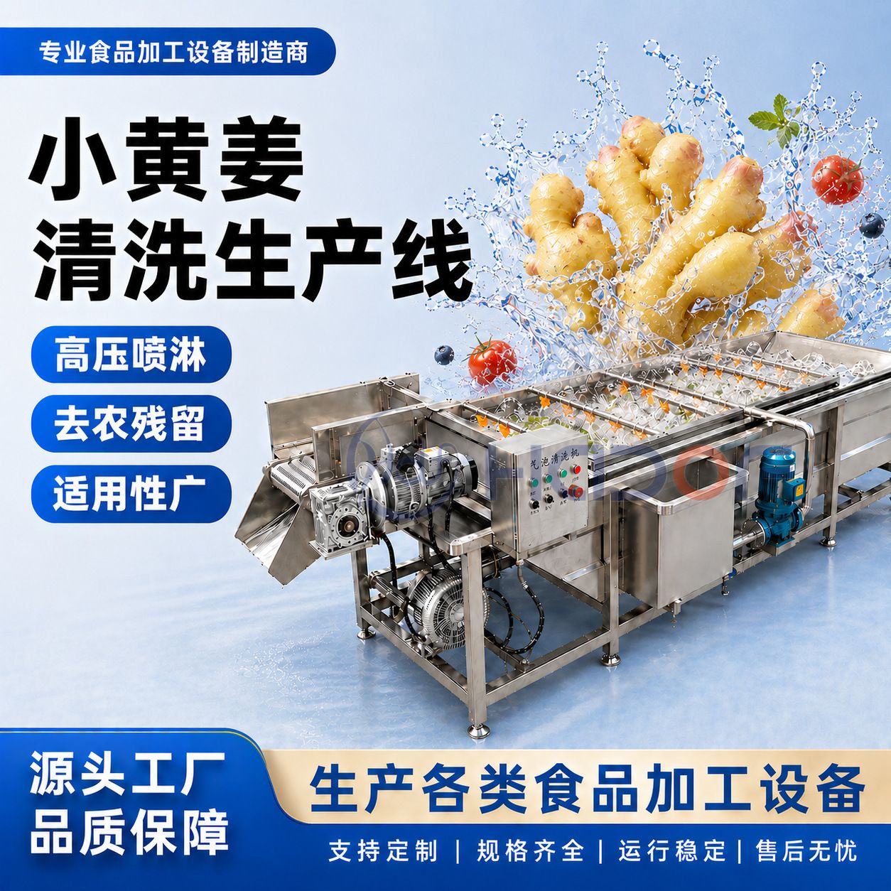 全自动小黄姜清洗去泥机大枣枸杞红枣气泡清洗加工流水线厂家直供