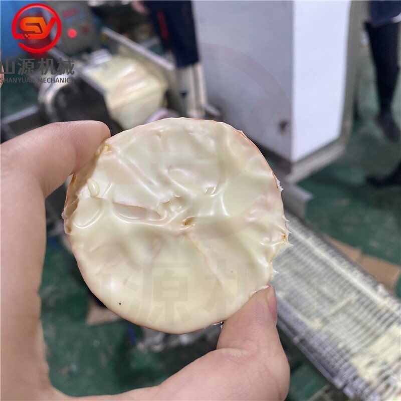 酸奶柠檬片巧克力涂层机器瀑布式巧克力上浆机器冻干水果裹层机