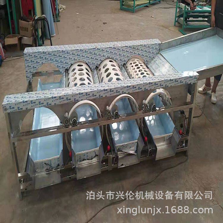 血橙分拣机 甜橙选果机 大蒜分级机 柿子筛选机 滚桶式水果分选机