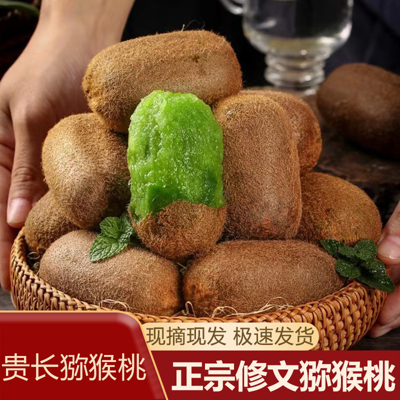 贵长绿心猕猴桃修文猕猴桃