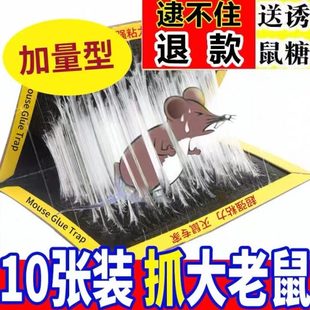 抓强力胶板沾鼠粘家用捕鼠神器强力老鼠大老鼠老鼠贴粘鼠板粘