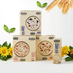 伯乐尝厚酸奶600g玫瑰白桃山莓茉莉草莓原味风味酸奶1条5吃零食