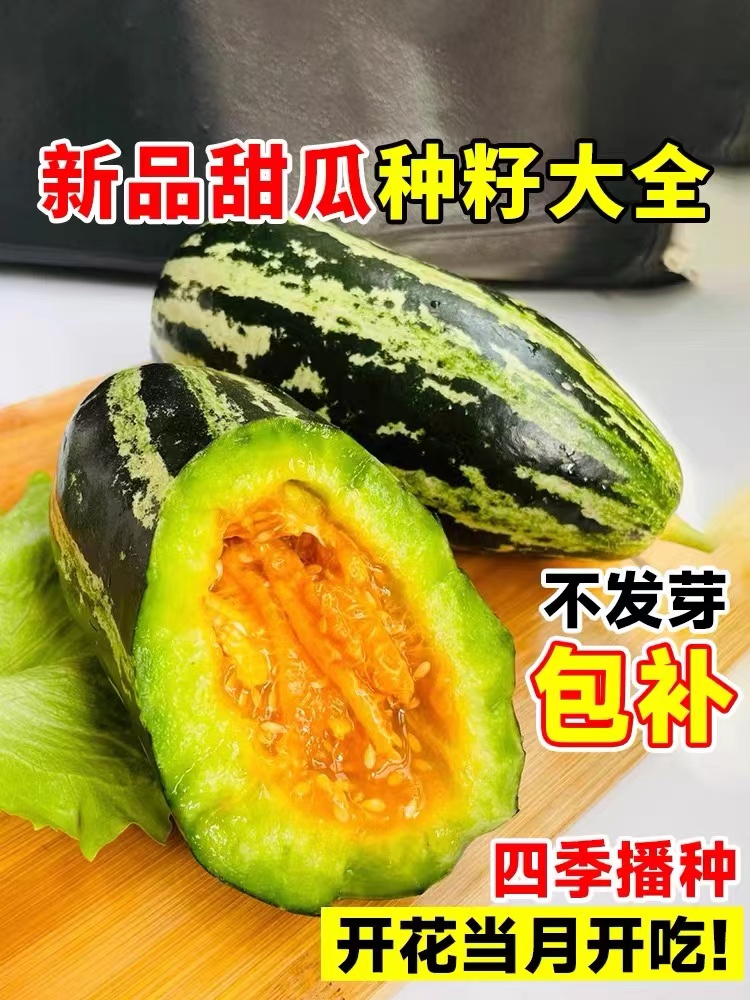 冰糖子甜瓜种籽大全羊角蜜种孑博洋脆香瓜玉菇阳台种植蔬菜种子苗