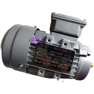 PHASE GS6324 INDUCTION 三相异步电动机 GS8024 MOTOR THREE