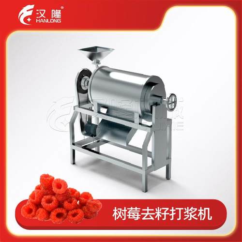厂家优惠促销大型工业树莓去皮去核单道加工设备水果破碎打浆机