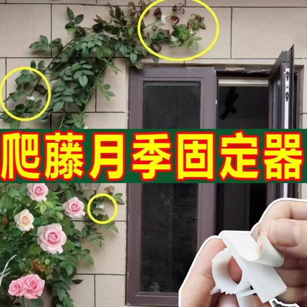 绿植枝攀爬黏爬花墙夹蔷薇花贴绿萝月季固定器牵引墙园艺卡扣爬藤