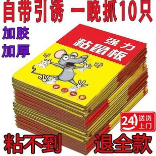 张 大捕鼠神器抓30老鼠老鼠贴超强灭鼠笼强力粘鼠板粘力家用正品