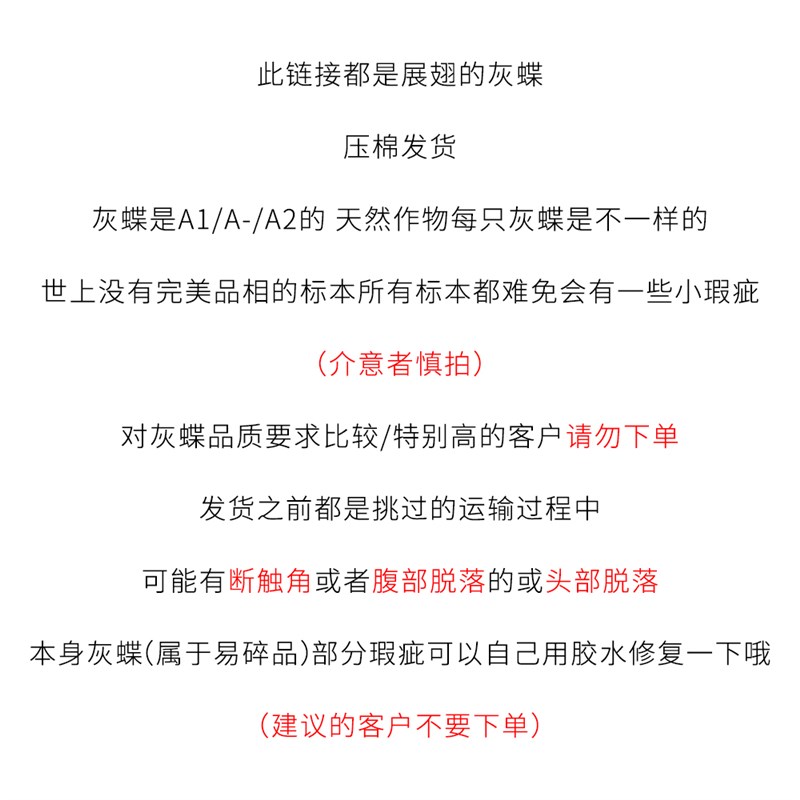 真蝴蝶标本已展翅大紫琉璃紫灰蝶标本diy手工制O作A1/A-灰蝶科蝴