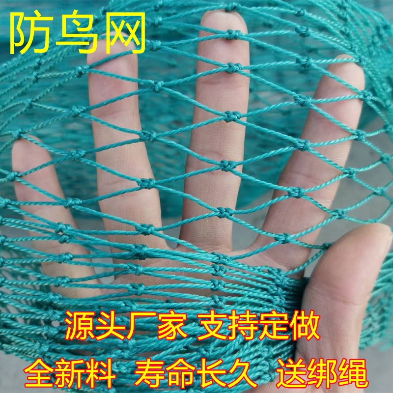 防鸟网山鸡网尼龙养q殖网围栏网菜园网拦鸡网果园防鸟网