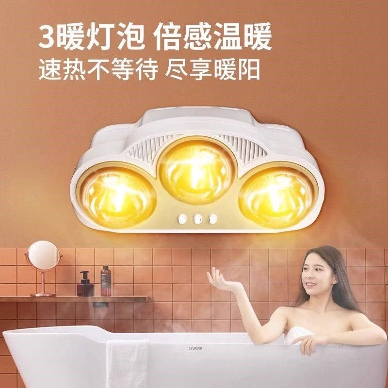 2025新款取暖器浴霸灯便携二头插头卫生间壁挂式可移动风暖+灯暖