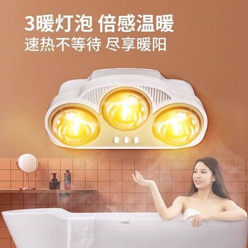 2025新款取暖器浴霸灯便携二头插头卫生间壁挂式可移动风暖+灯暖