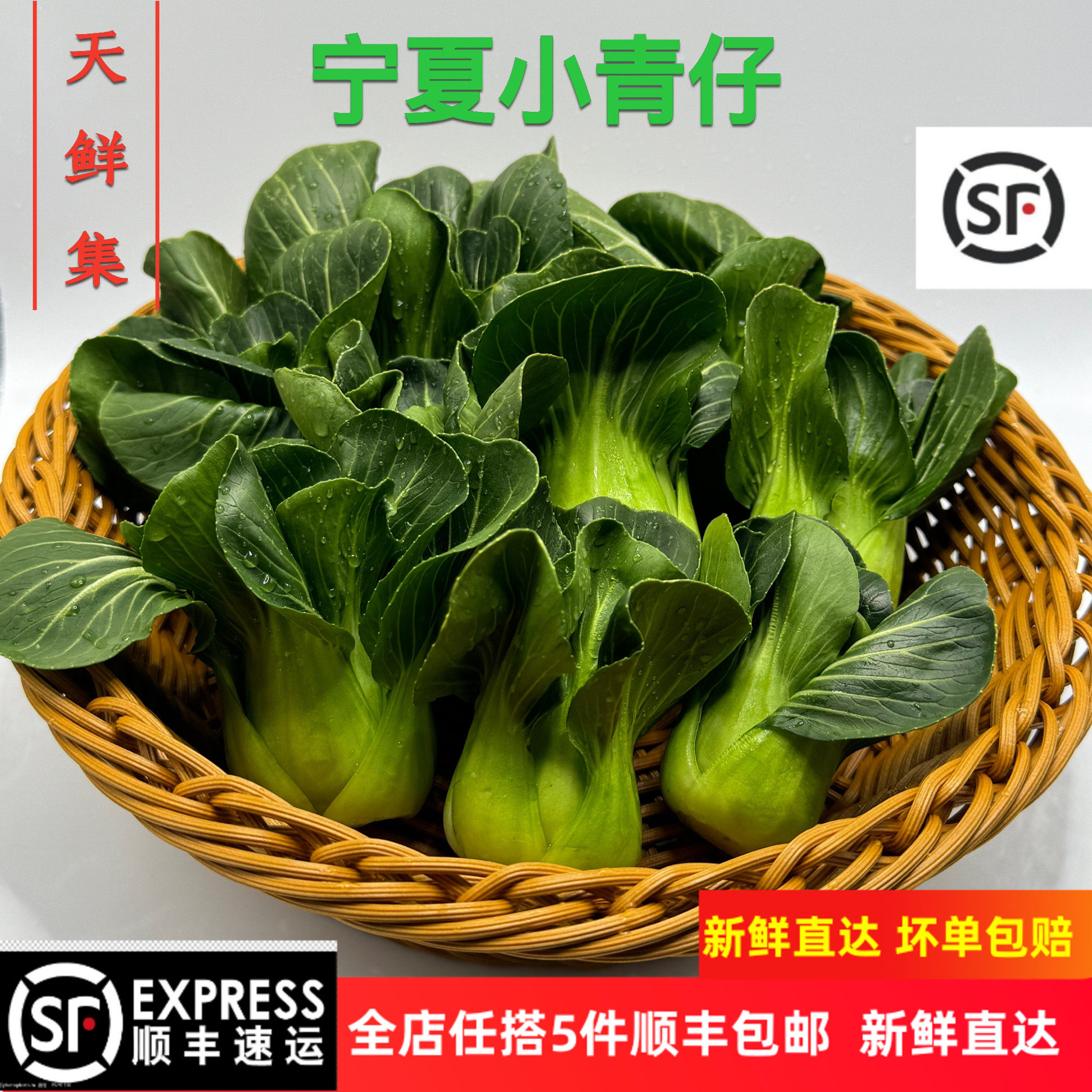 宁夏青菜新鲜蔬菜上海青供港小青仔软糯清甜小青菜小油菜矮脚青菜